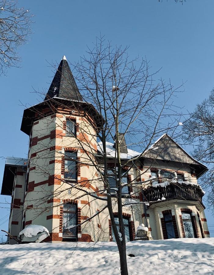 Turmvilla Vogtland Oelsnitz  Ngoại thất bức ảnh