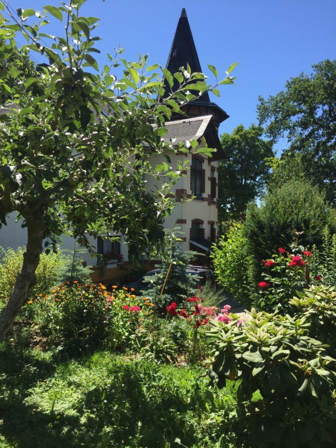 Turmvilla Vogtland Oelsnitz  Ngoại thất bức ảnh